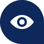 vision