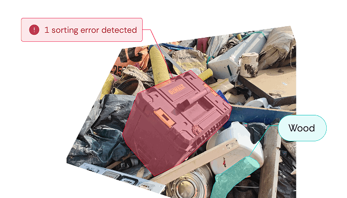 Identification of sorting errors